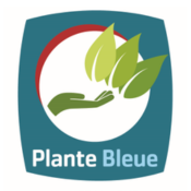 Plante bleue